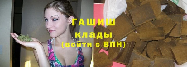гидра Кинешма