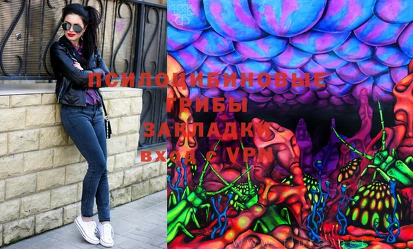 mdpv Киреевск