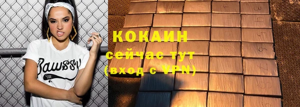 гидра Кинешма