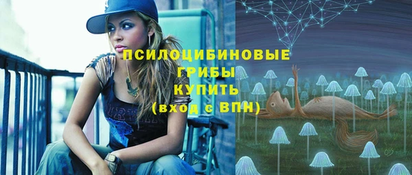 сатива Карпинск