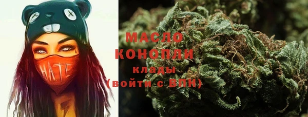 сатива Карпинск