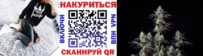 Бошки марихуана Ganja  Купить  Ессентуки 